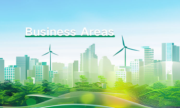 Business Areas
